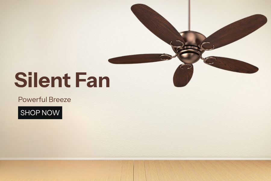 Fans