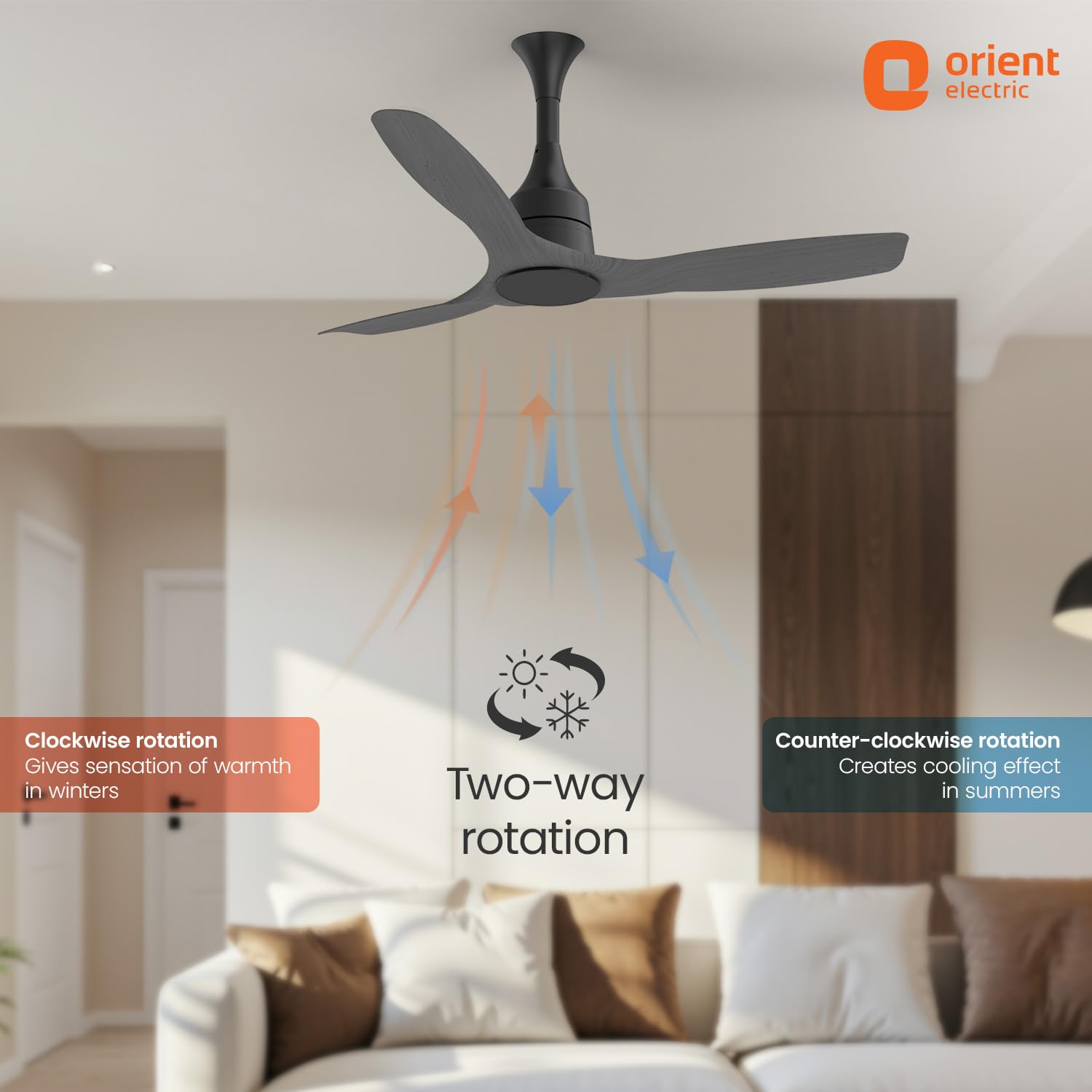 Aerosense BLDC Ceiling Fan  1200mm with Remote (Ash Wood)
