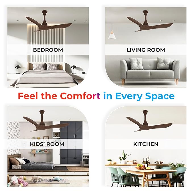 Polycab Silencio Cruiser Prime 1200mm ceiling fan| Higher Air Delivery| Low noise