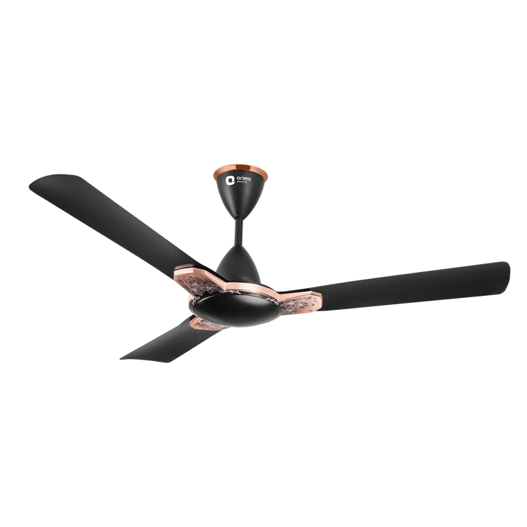 Aeon Antidust BLDC Ceiling Fan