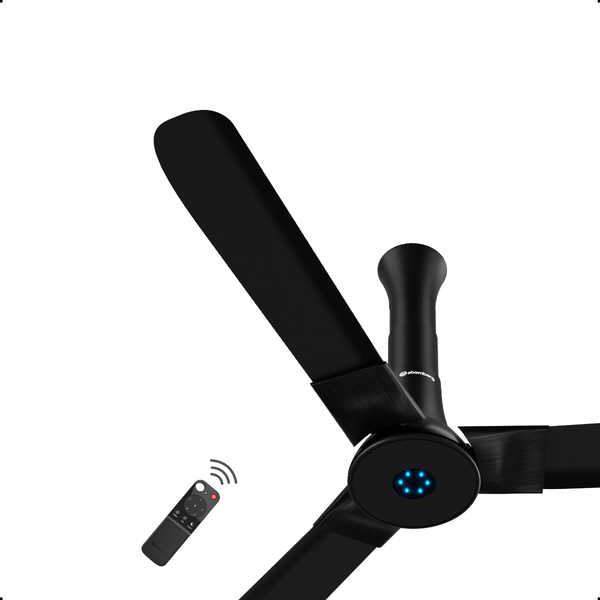 Studio + Ceiling Fan