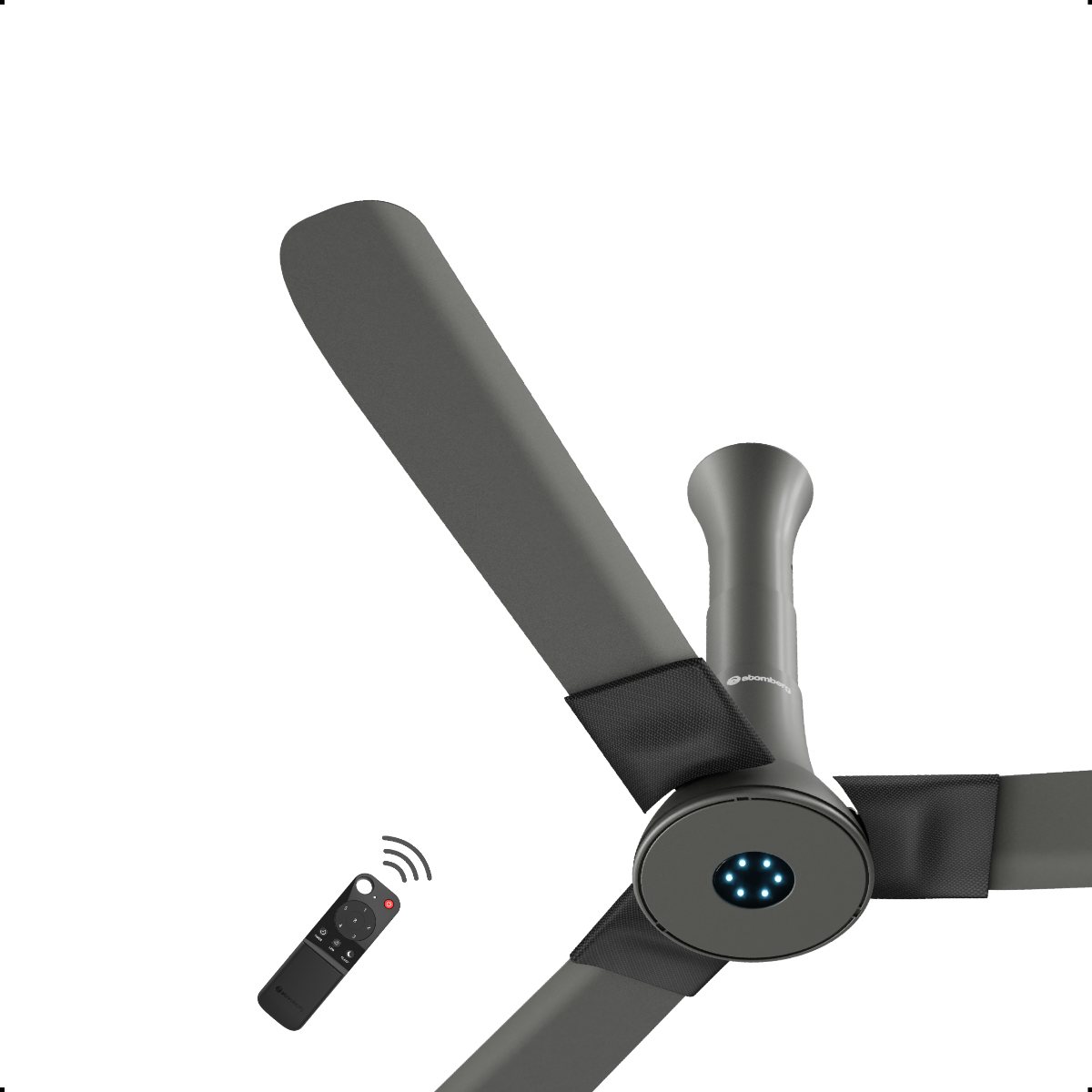 Studio + Ceiling Fan